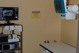 Veterinary-Hospital-Garland_Radiology